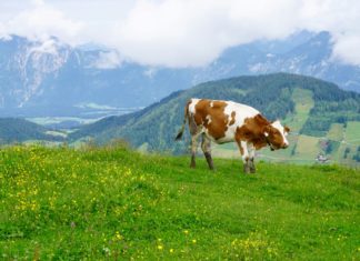 Bilder von der Enduro One in der Wildschönau