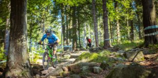 Drittes Event der Enduro One-Serie: „Schmankerl“ am Ochsenkopf Typisch Fichetelgebirge - Steinfelder ohen Ende