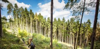 Neuer Hauptsponsor: Haibike unterstützt Deutsche E-Bike Meisterschaft Super Wetter, Super Trails, Super Veranstaltung