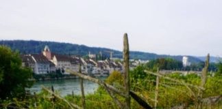 SQlab im Dauertest – Von (Lenker-)Hörnchen und anderen Back(en)waren Schnell montiert waren Sie die Innerbarends. Und eine Wohltat bei der Tour am Rhein.