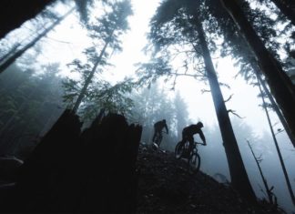 Specialized Bicycles: Skeptical by the Coastal Crew