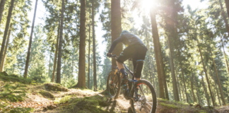 Neuer eMTB-Modus für eBikes mit Bosch CX Motoren