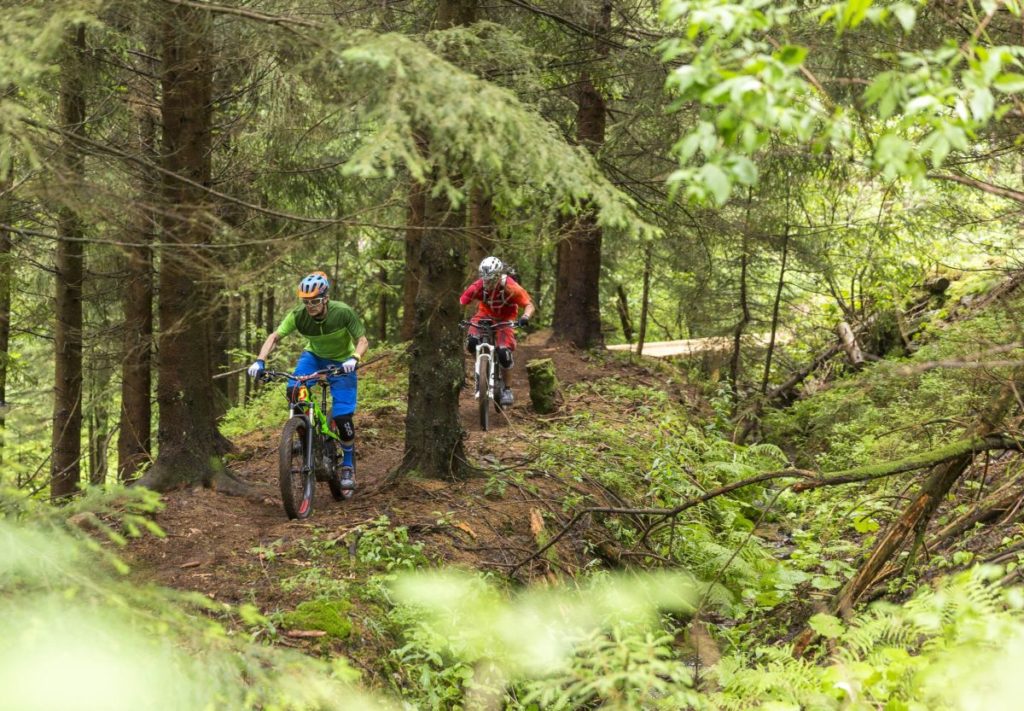 Uphill Flow Trail im Bikepark Geißkopf