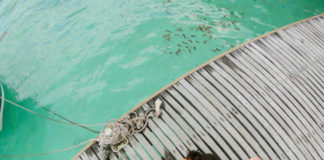 GoPro HERO7 Black – Integrierte Gimbal-ähnliche Videostabilisierung