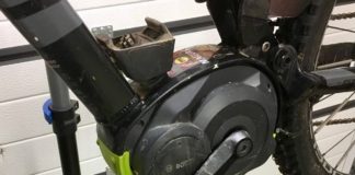 Herzrasen: Wie aus dem alten Esel ein Rennpferd wird