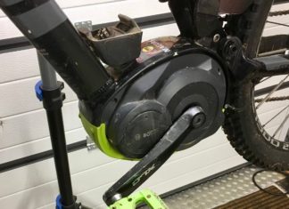 Herzrasen: Wie aus dem alten Esel ein Rennpferd wird