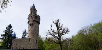 Opening Gravity Trail Schläferskopf